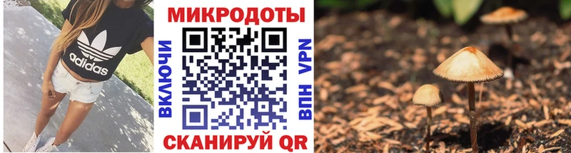 Псилоцибиновые грибы Psilocybe  Купить закладки  Нахабино 