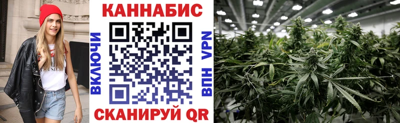 Бошки марихуана Amnesia  Купить  Нахабино 